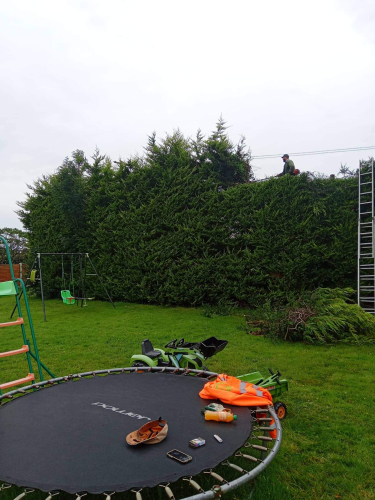 Professional Landscaping 1